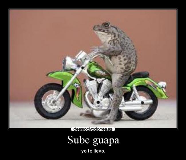 Sube guapa - yo te llevo.