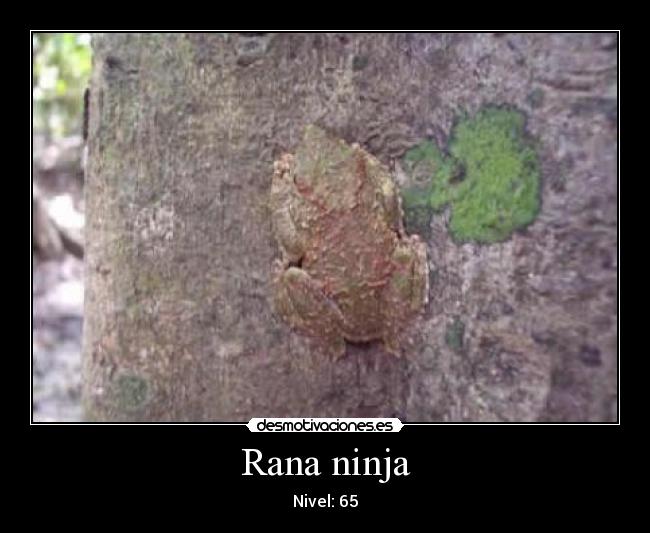 Rana ninja - Nivel: 65
