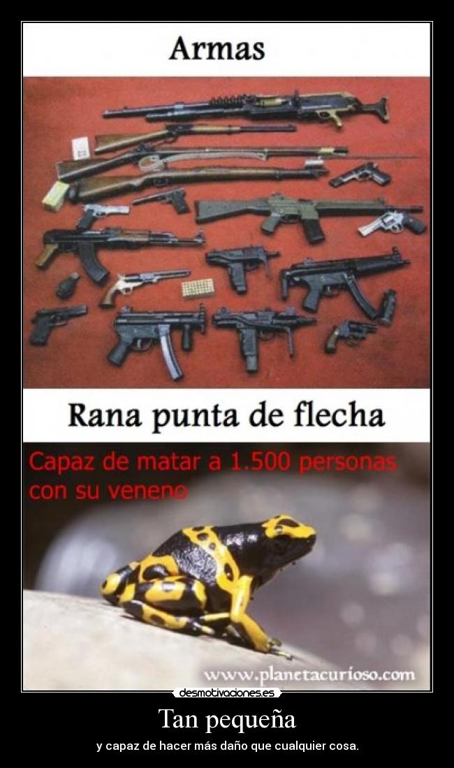 Tan pequeña - y capaz de hacer más daño que cualquier cosa.