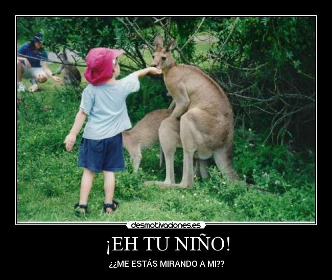 ¡EH TU NIÑO! - ¿¿ME ESTÁS MIRANDO A MI??