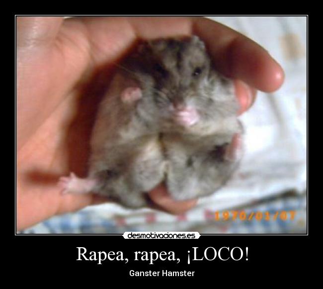 Rapea, rapea, ¡LOCO! -