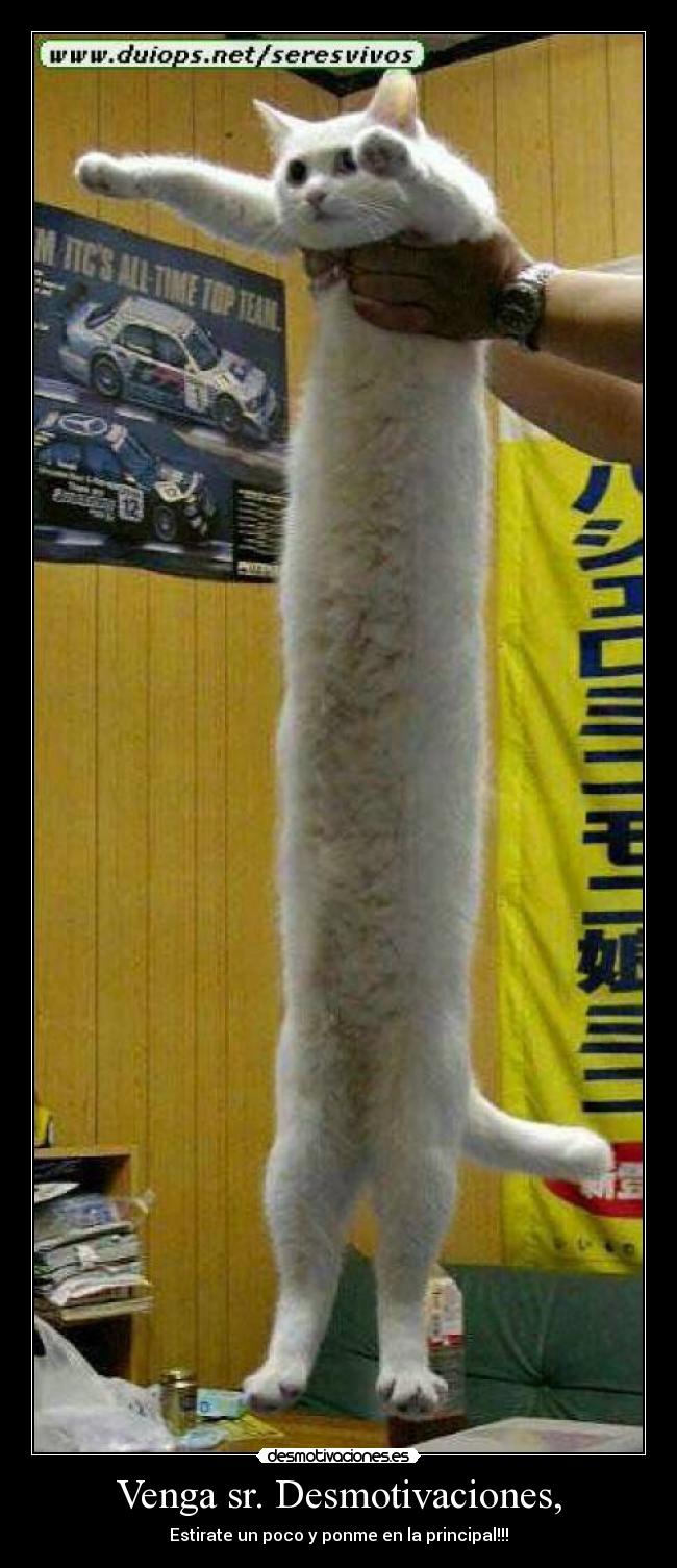 Venga sr. Desmotivaciones, -