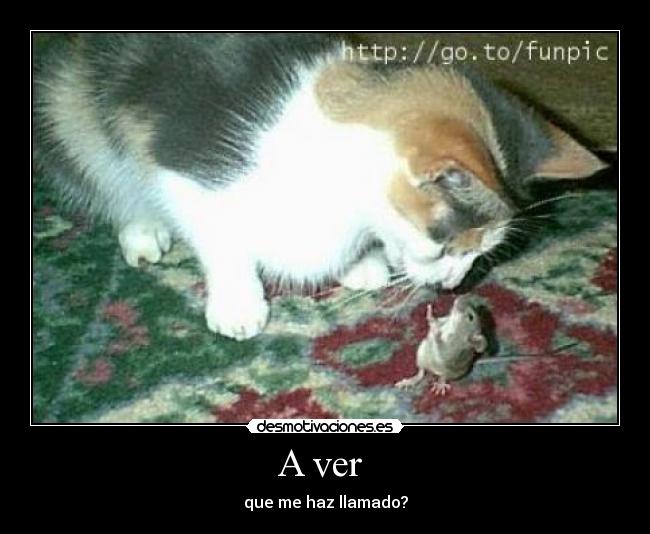 A ver - que me haz llamado?