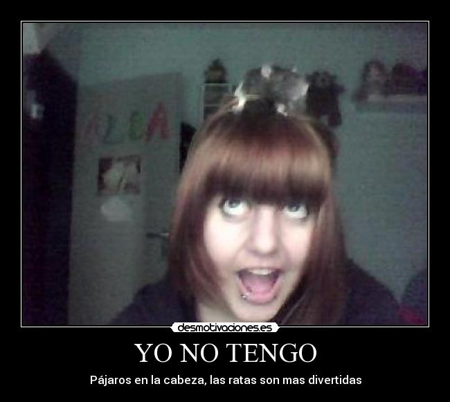 YO NO TENGO - 