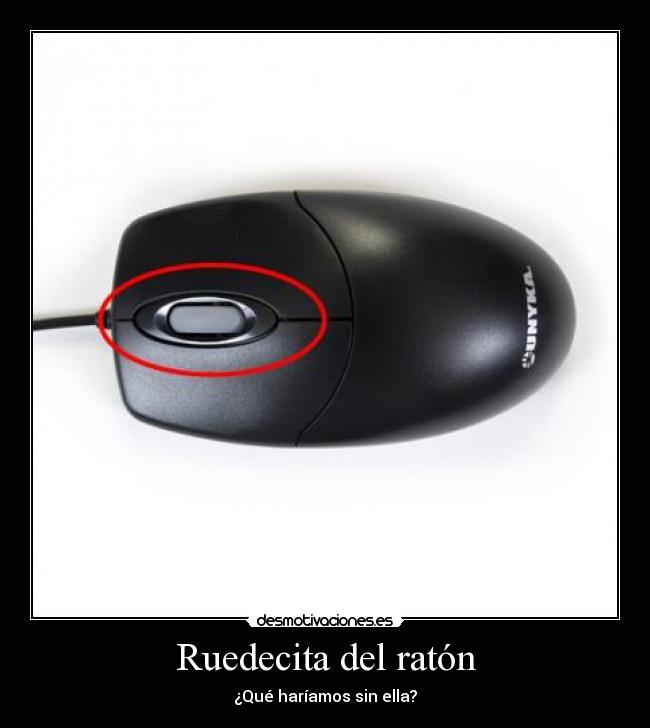 Ruedecita del ratón - ¿Qué haríamos sin ella?
