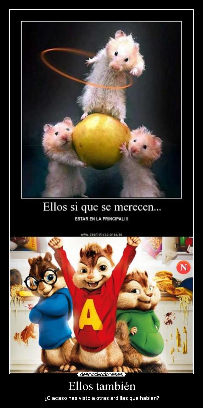 carteles ardillas desmotivaciones