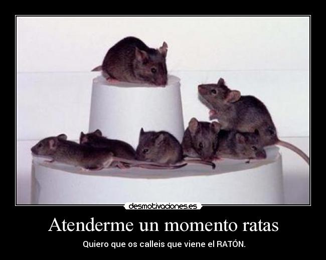 Atenderme un momento ratas - 