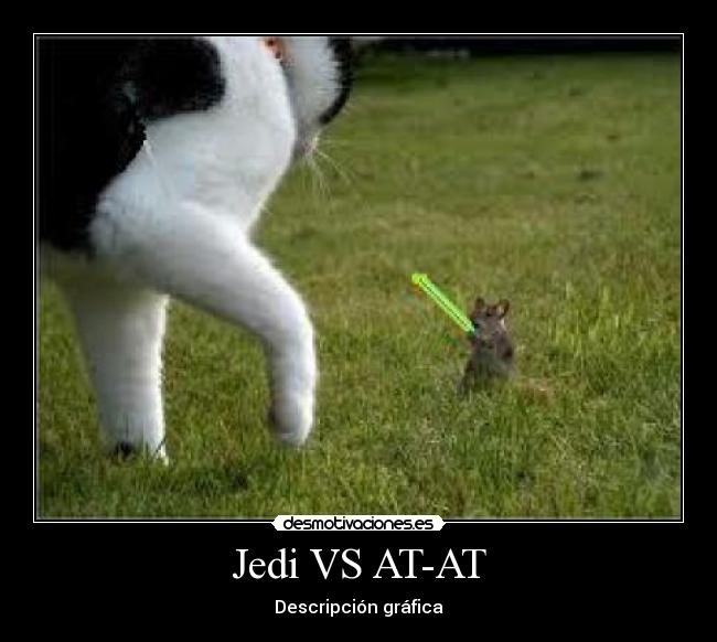 Jedi VS AT-AT - Descripción gráfica