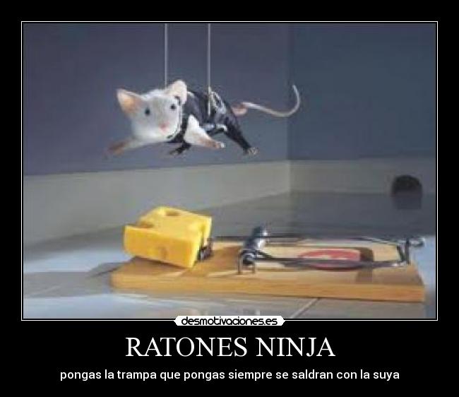 RATONES NINJA - pongas la trampa que pongas siempre se saldran con la suya