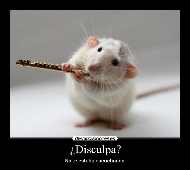 ¿Disculpa? -