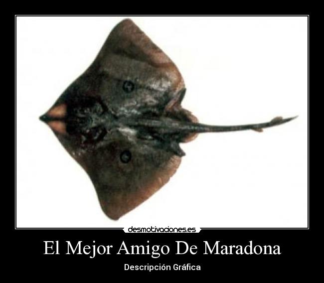 El Mejor Amigo De Maradona -