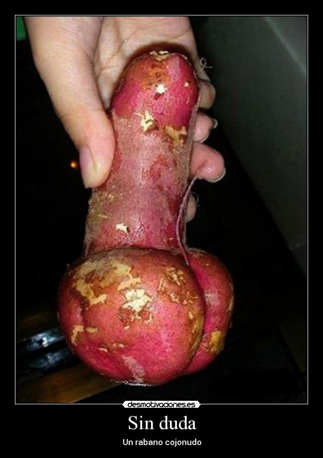 Sin duda - Un rabano cojonudo