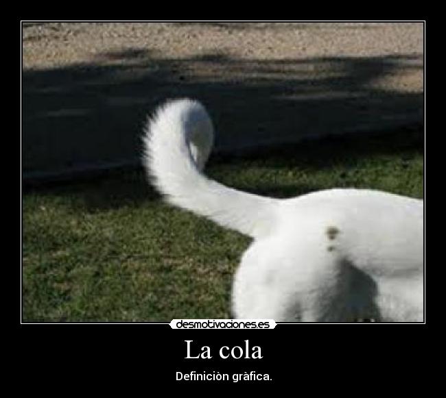 La cola - Definiciòn gràfica.