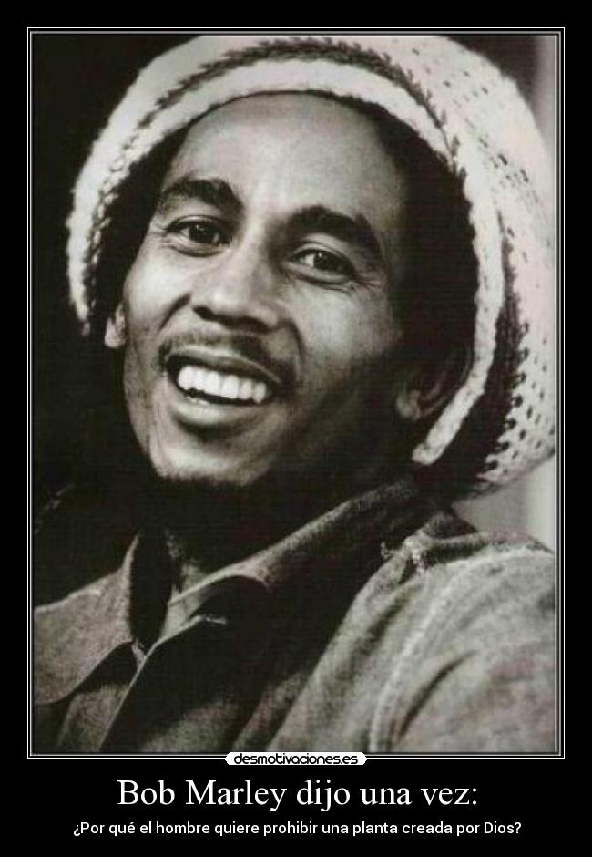 Bob Marley dijo una vez: -