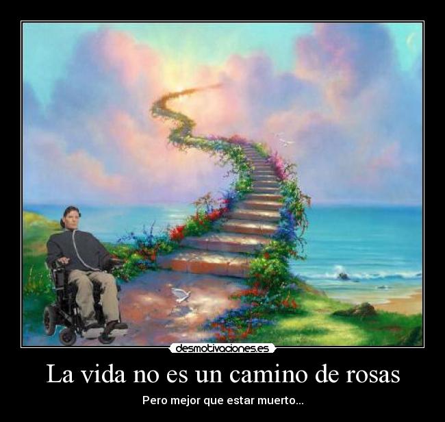 La vida no es un camino de rosas -