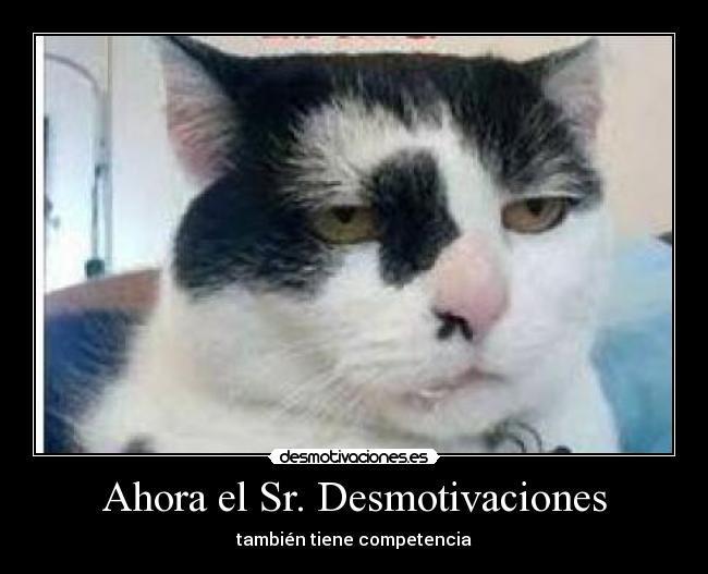 Ahora el Sr. Desmotivaciones - 