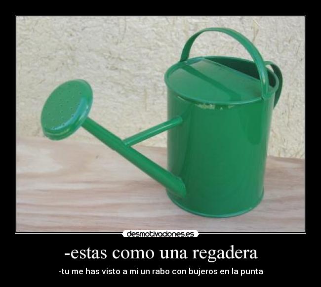 -estas como una regadera -
