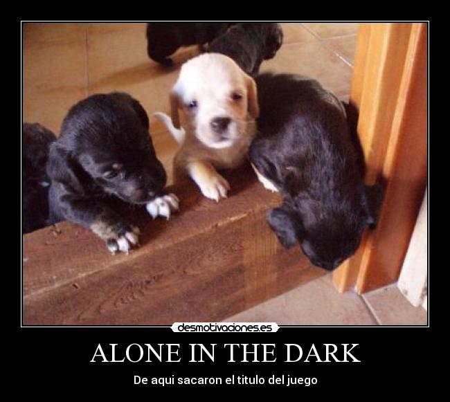 ALONE IN THE DARK -