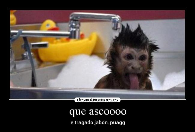 que ascoooo - e tragado jabon. puagg