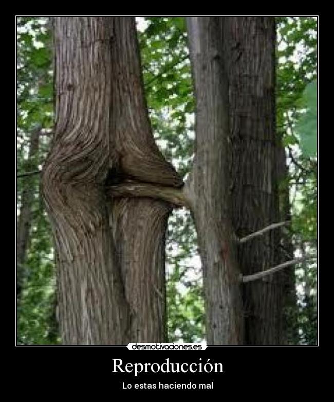 carteles reproduccion estas haciendo mal desmotivaciones