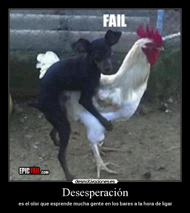 carteles animales follando desmotivaciones