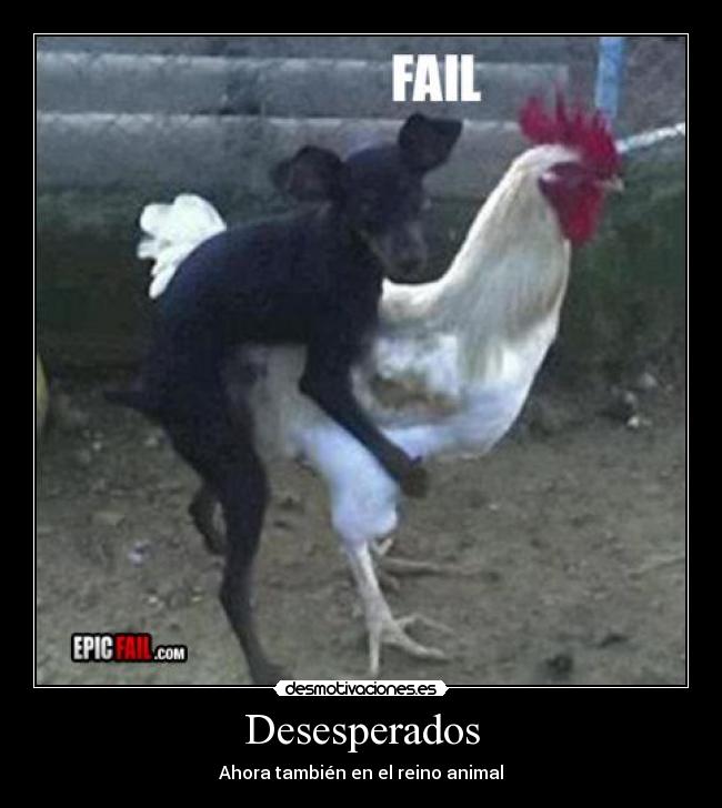 carteles fail desmotivaciones