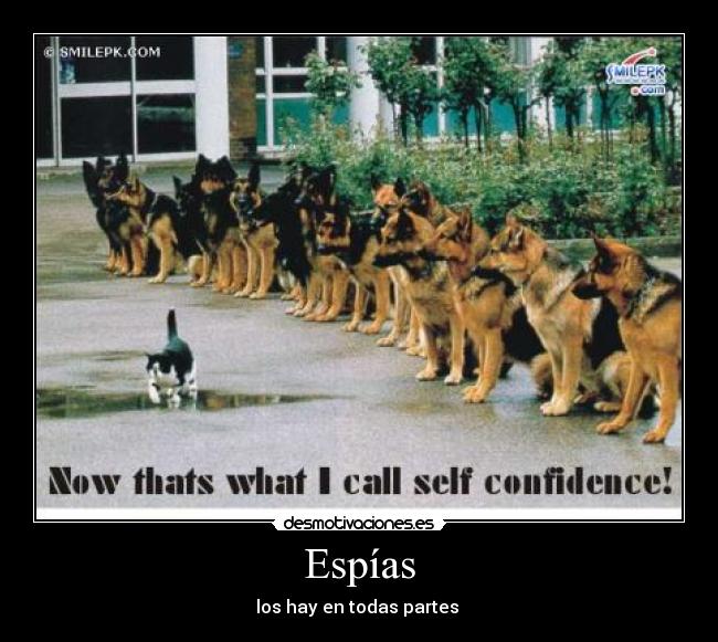 Espías - los hay en todas partes 