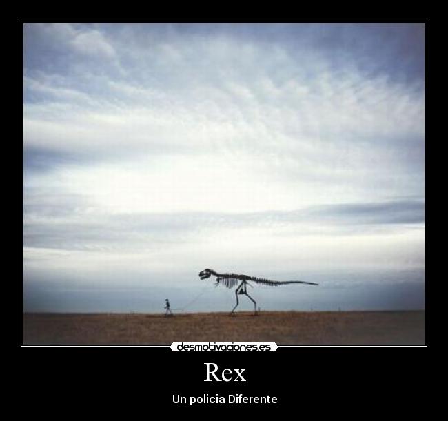 Rex - 
