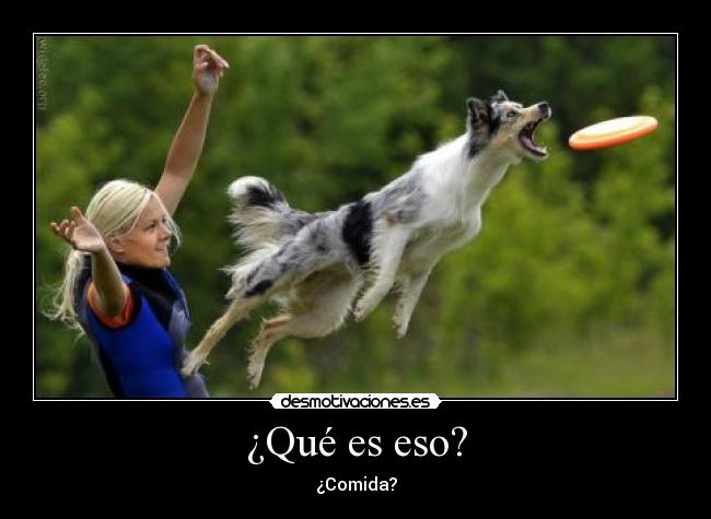 ¿Qué es eso? - 