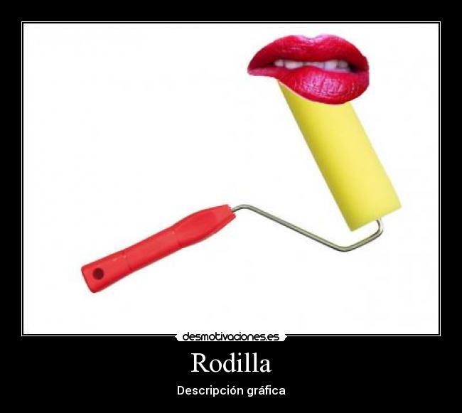 Rodilla - Descripción gráfica