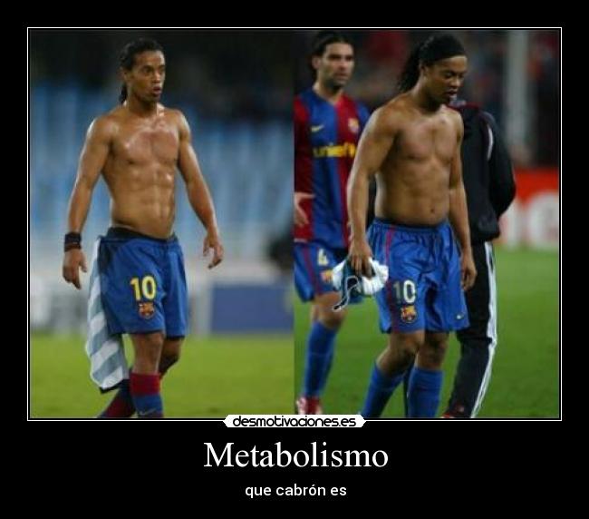Metabolismo -