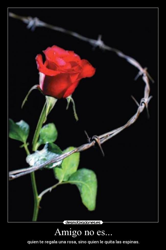 Amigo no es... - quien te regala una rosa, sino quien le quita las espinas.