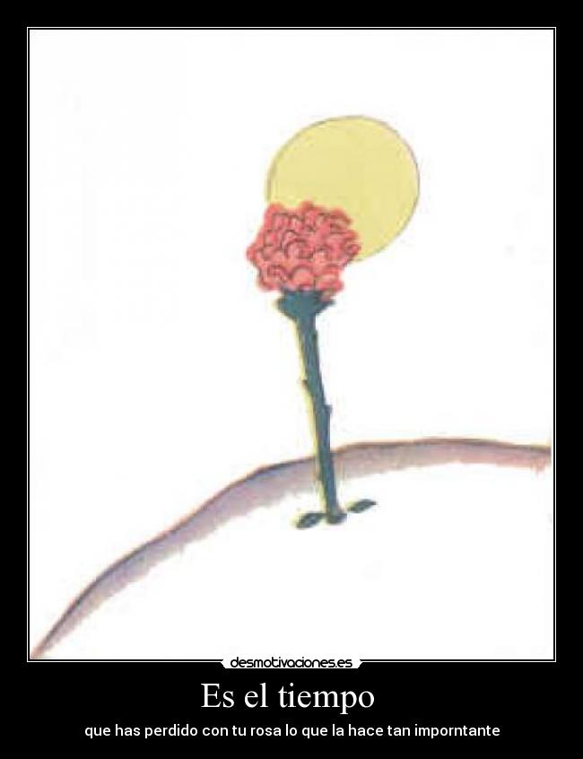 Es el tiempo  - que has perdido con tu rosa lo que la hace tan imporntante