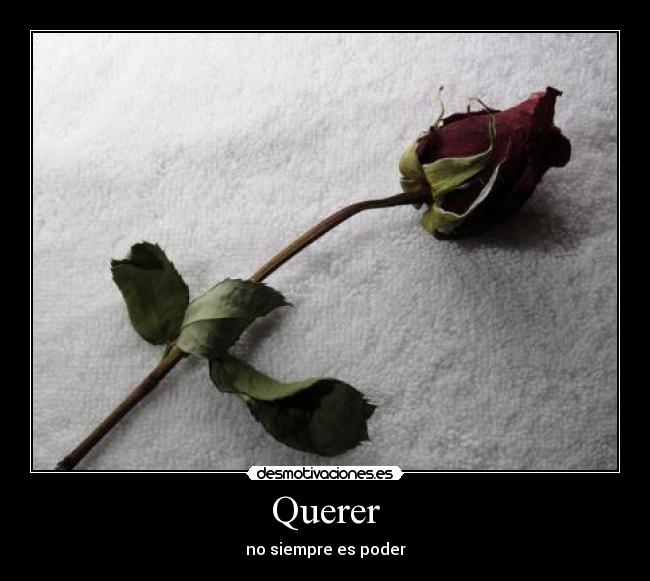 Querer - no siempre es poder