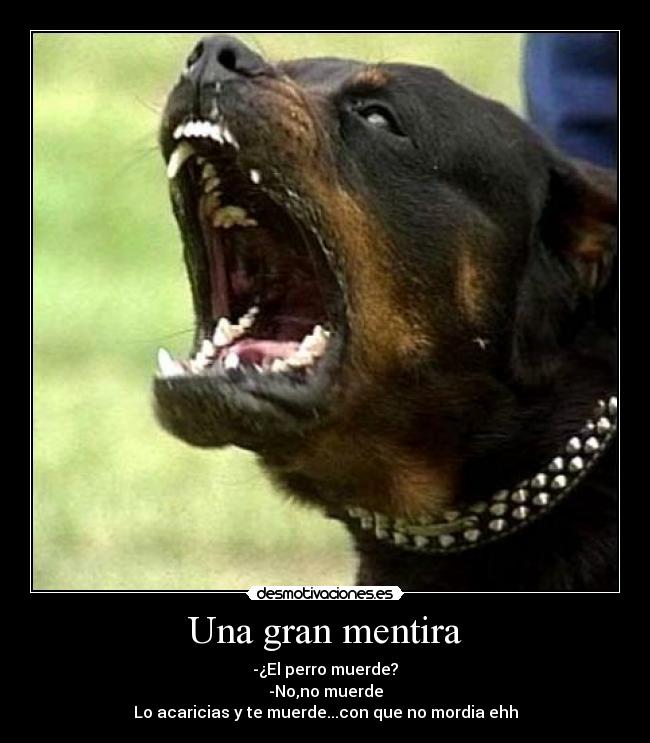 Una gran mentira - -¿El perro muerde?
-No,no muerde
Lo acaricias y te muerde...con que no mordia ehh