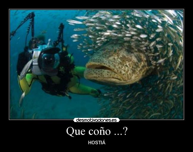 Que coño ...? -