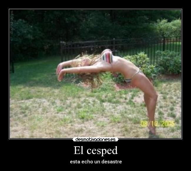 El cesped -