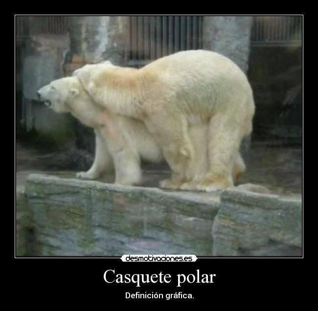 Casquete polar -