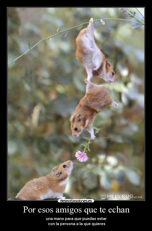 Por esos amigos que te echan - 