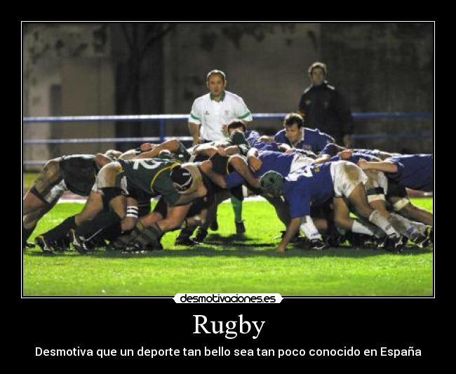 Rugby -