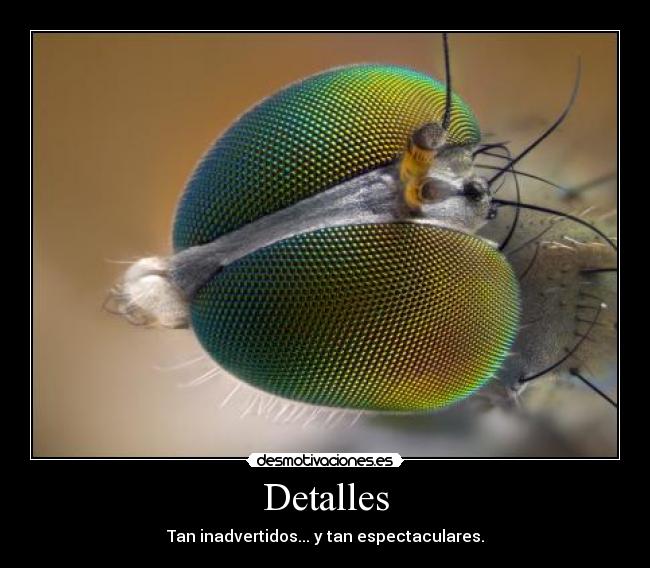 Detalles - Tan inadvertidos... y tan espectaculares.