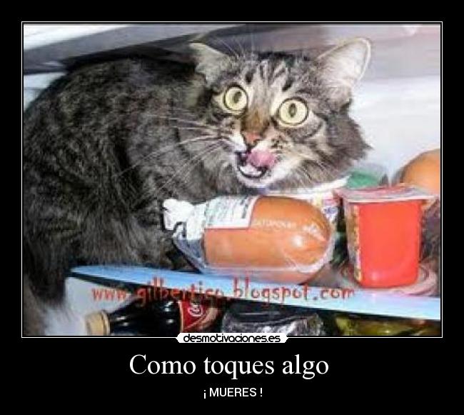 Como toques algo - ¡ MUERES !