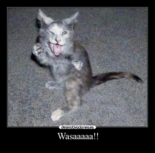Wasaaaaa!! -