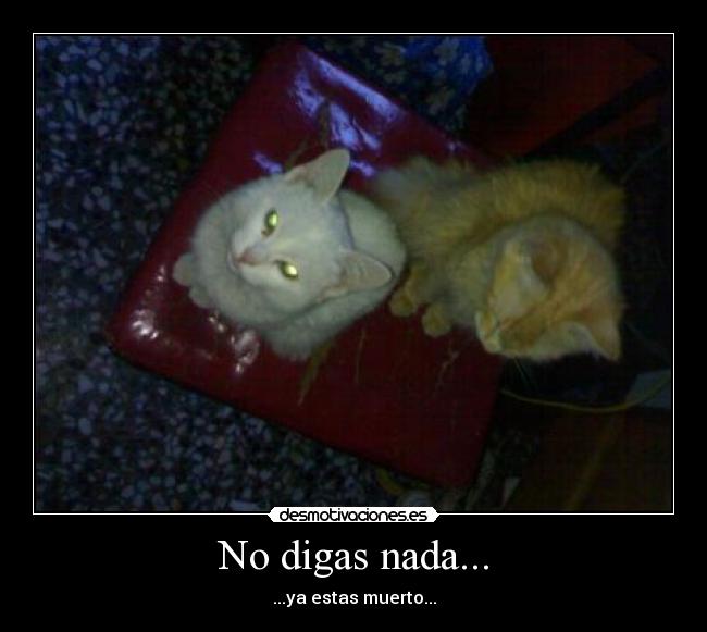 No digas nada... - 