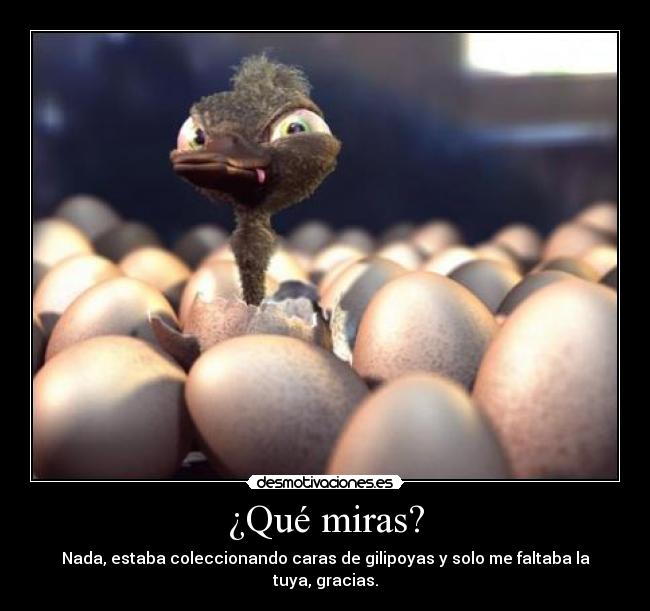¿Qué miras? -