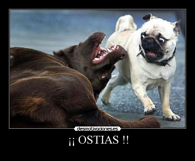 ¡¡ OSTIAS !! -