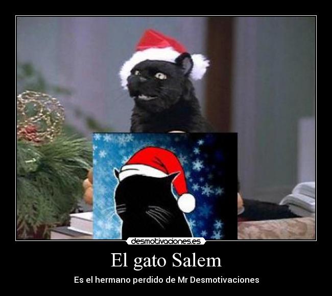 El gato Salem - 