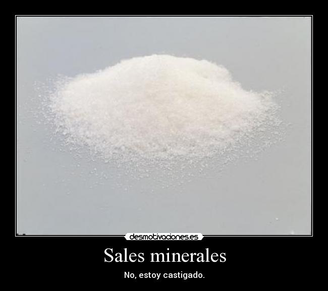 carteles chiste corto sales minerales malo desmotivaciones