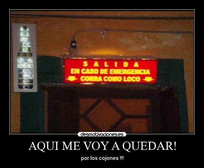 AQUI ME VOY A QUEDAR! - por los cojones !!!