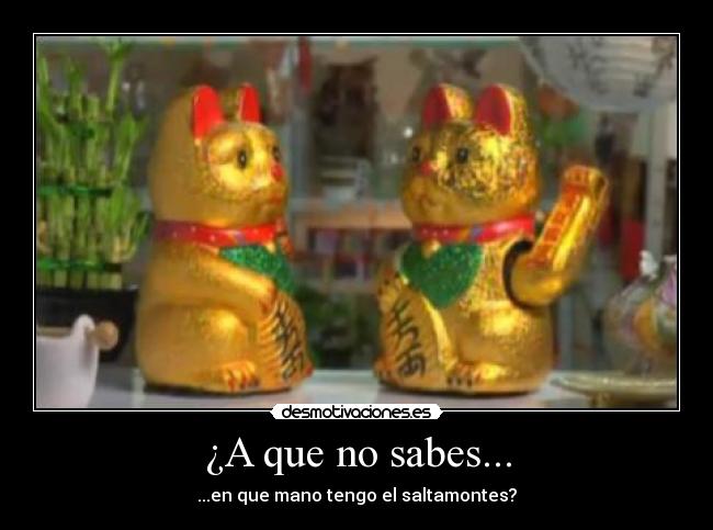 ¿A que no sabes... - 